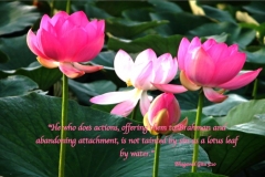 Action Without Desire