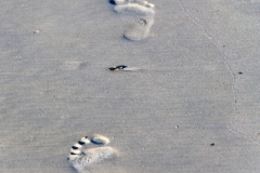 Footsteps
