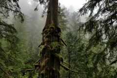 20190524_100415