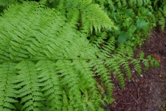 20190524_101013