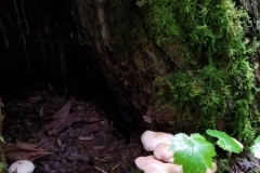 20190524_101132