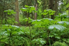 20190524_101247